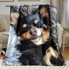 Op Maat Gemaakte Langharige Chihuahua Deken Hondenfoto Fleece Plaid Alle Seizoenen Zacht Warm Beddengoed Huisdecoratie Cadeau voor Hondenliefhebbers