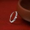 Natal Year Snake Ring Female Niche Design High Sense Personality Fashion Double Snake Wrap Open Ring Hand Jewelry
