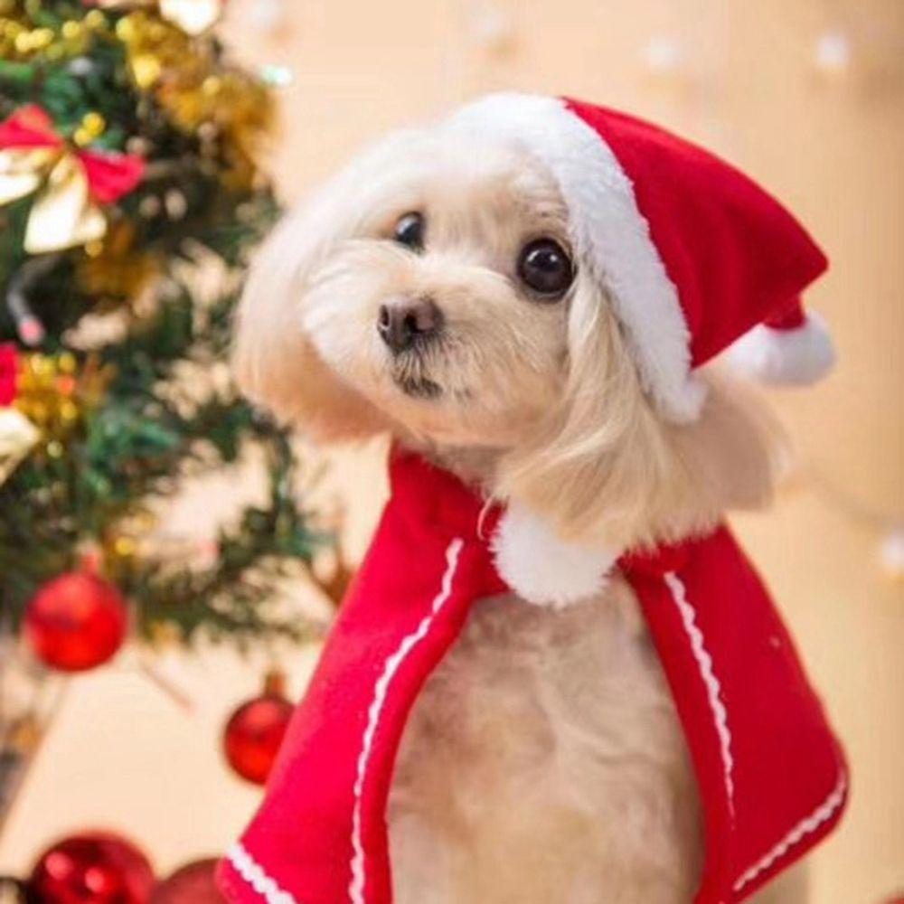 Hat Dog Cat Puppy Christmas Warm Cute Pet Costume Christmas Clothes Pet Cosplay Costume Pet Clothes