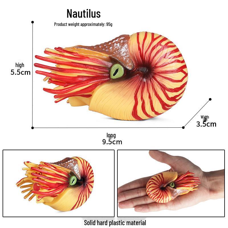 Marine Animal Model Nautilus Seashell Kids Toy - Static Ancient Creature Fish Tank Ornament