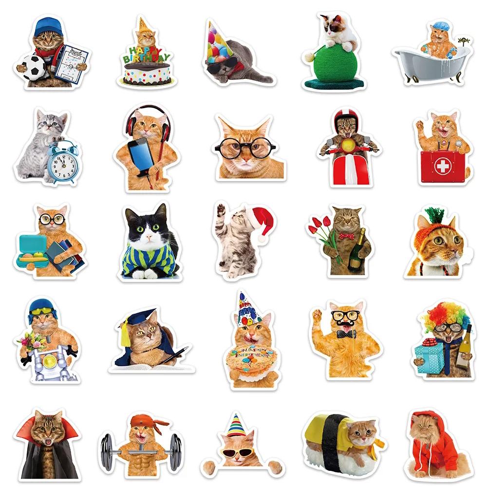 10/30/50pcs Funny Animal Cat Meme Graffiti Stickers Cute Kitten Decals Waterproof DIY Scrapbook Phone Laptop Bike Sticker Decor