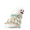 Checked Dog Dress, Dog, Cat, Small and Medium-sized Dog Pet Clothing, Cat Supplies, Two-legged Coat