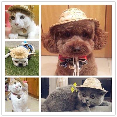 Sombrero para perro al aire libre, gorra para mascotas, accesorios para animales, casquetas de Pomerania, sombrero para mascotas Petits Chien