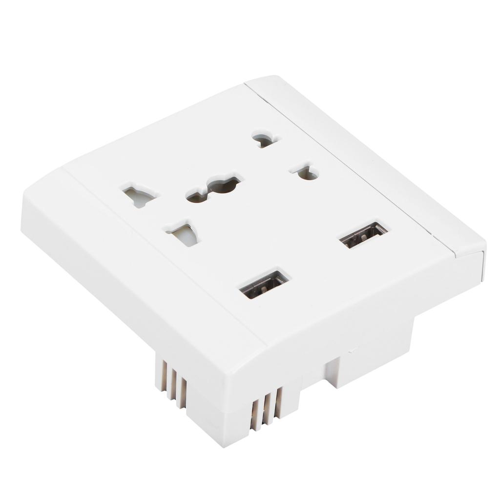 13A Multifunctional Wall Power Outlet Socket with 2 USB Port Home Improvement 110/