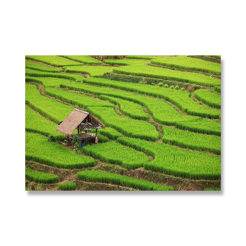 

Вьетнамские рисовые поля, холст с принтом, маленькая хижина над террасой, рисовое поле, Му Кан Чай, постеры и принты для декора гостиной, Куадрос 21x30cm No Framed