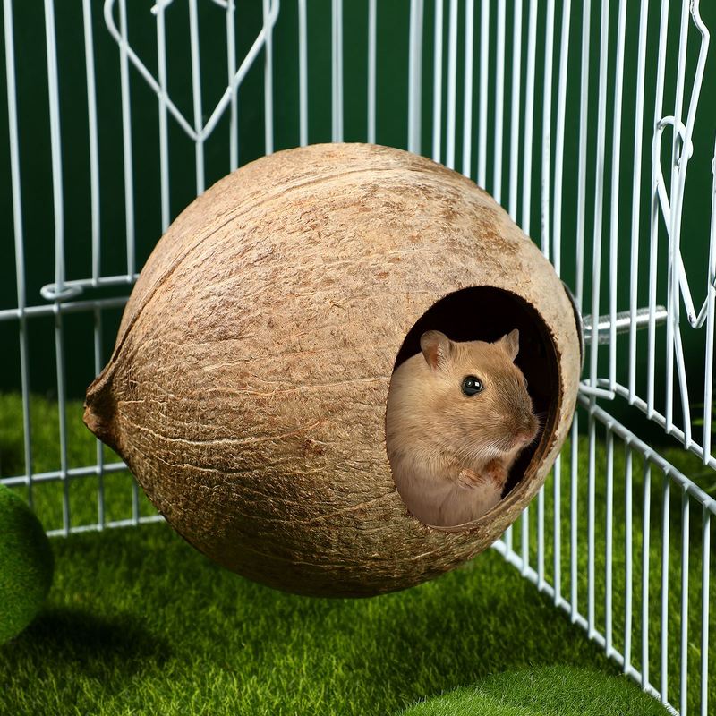 Papagei Kokosnussschale Nest Haustier Vogelnest Hamster Eichhörnchen Zuchtnest Kanarienvogel Lerchenhaus Hängendes Ornament Für Garten Hof Haustierbedarf