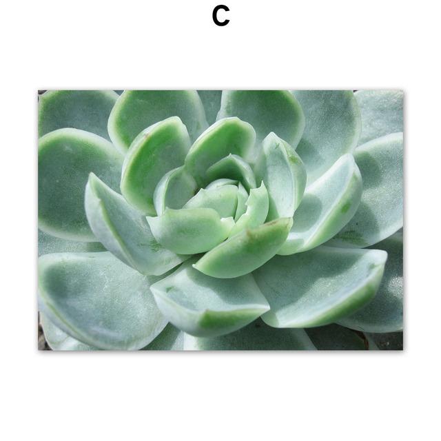 Banana Leaf Monstera Tulip Abstract Girl Lines Wall Art Canvas PostersPainting  And Prints Wall Pictures For Living Room Decor