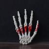 1Pair Halloween Skeleton Hands Plastic Skeleton Human Hand Bone Decoration for Halloween Themed Party Zombied Party