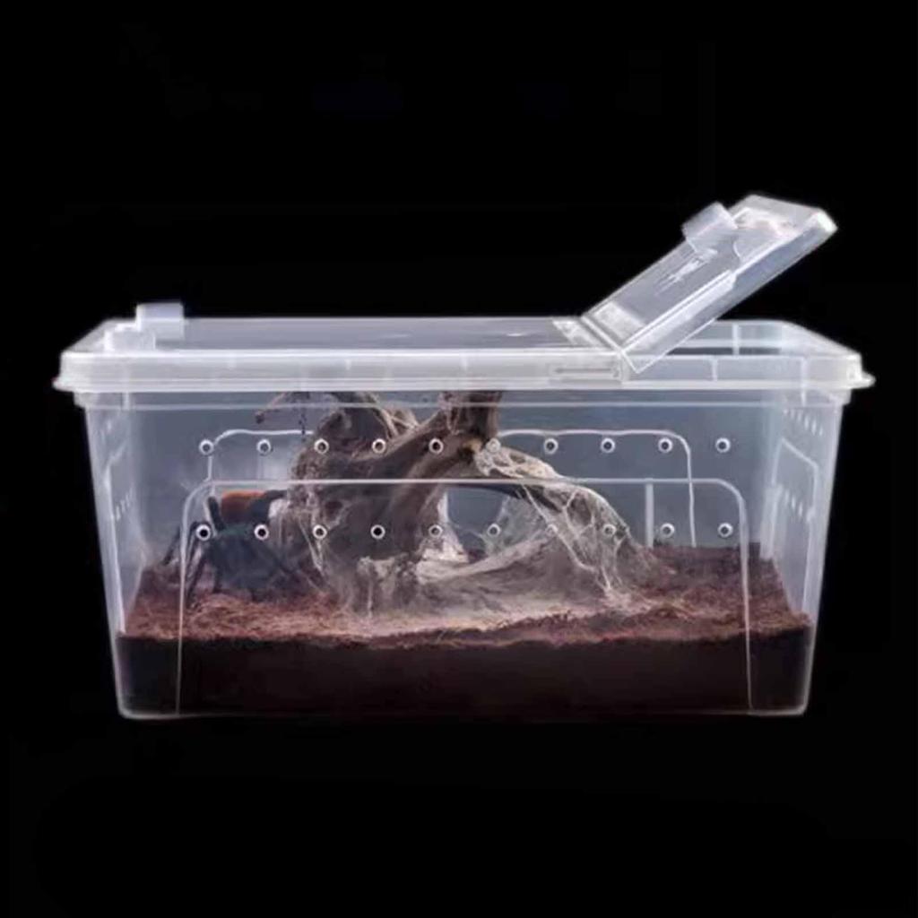 Reptile Feeding Box Breeding Transparent Terrarium Habitat with Feeder Bowl for Snake Cricket