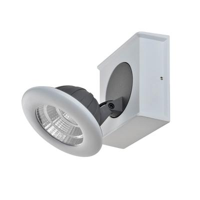 Reflektor Spot Catalina FH31781A13 Italux