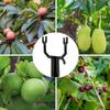 5 Pieces Branch Support Tree Branch Support Tree Limb Holder Fruit Tree Support Stand Tree Supports for Leaning Fixing Tool