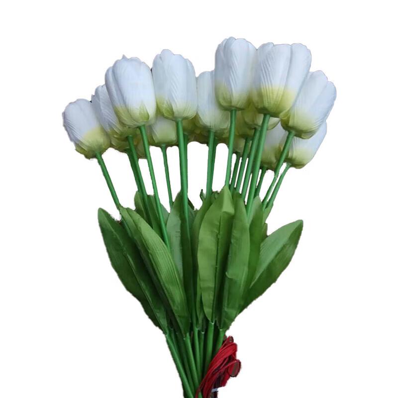 Beigong 2W LED Tulp Buiten Tuinpaal Lichten (70cm, Pak van 20)