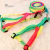 Pet Strap Puppy Chest Harness With Lead Leash