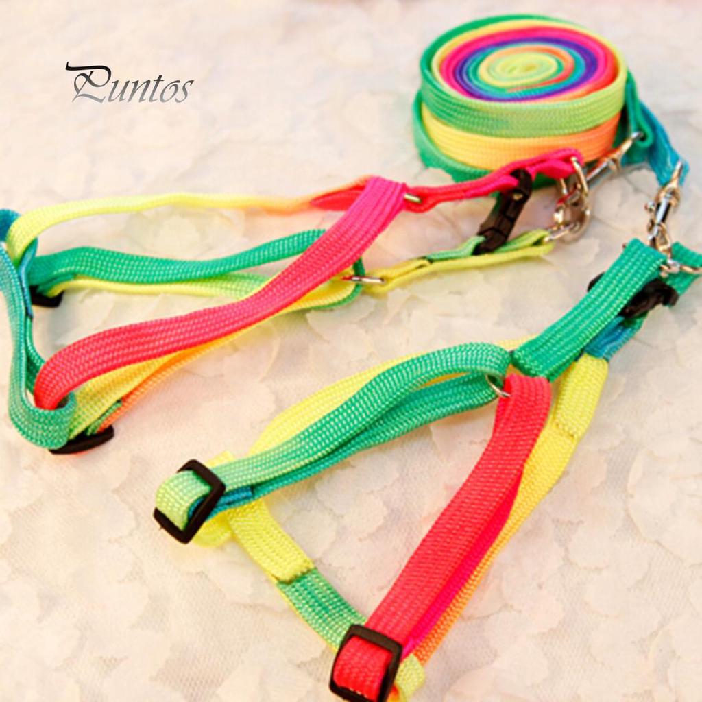 Pet Strap Puppy Chest Harness With Lead Leash