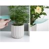 Garden Funnel Watering Device Potted Plant Waterer SpikeLeaf Shape Automatic Irrigation System Watering Drip Device 3pcs
