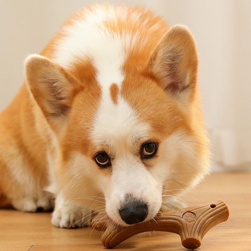 Pet Teeth Grinding Toy Dog Interactive Bone Training Toy Bamboo Cleaning Teeth Fixing Wear Resistant Pet Products