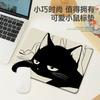 Accesorii pentru calculatoare – Mouse pad-uri și suporturi mână