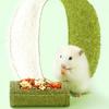Hamster Chew Toys For Teeth Pet Feeding Bowl Natural Chinchilla Chew Toys For Enrichment Play Hamster Chinchilla Bunny Cage