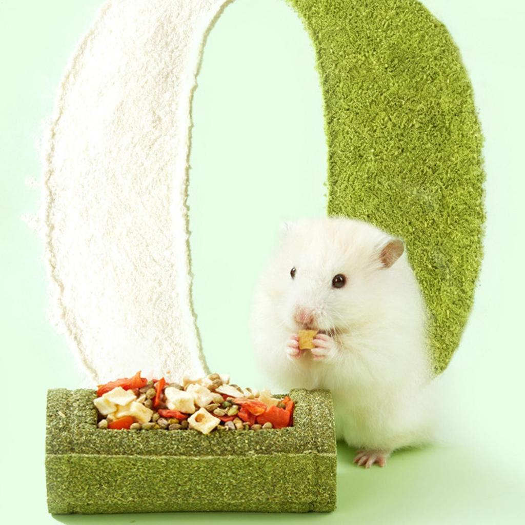 Hamster Chew Toys For Teeth Pet Feeding Bowl Natural Chinchilla Chew Toys For Enrichment Play Hamster Chinchilla Bunny Cage
