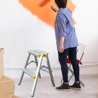 Foldable Ladder Nonslip Stepladder Multifunctional Step Double Sided 2 Stool for Garden