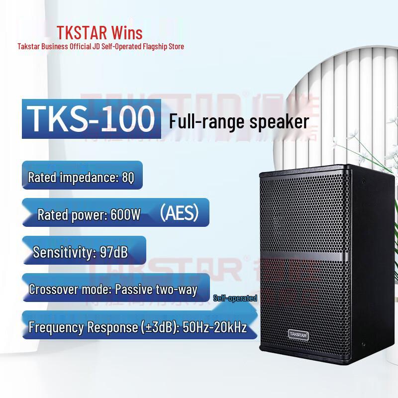 TAKSTAR TKS-100 10-inch 600W Full-Range Professional Speaker