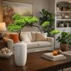 Plastic Bonsai Pine Tree Flexible Welcome Pine Tree Simulated Pine  Tea Table Decoration