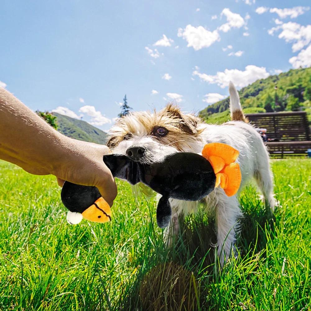 Quietschendes Hundespielzeug Welpen Hundezubehör Haustiere Hundespielzeug Interaktives Quietschehuhn Soundspielzeug Welpen Bissfester Kauspielzeug