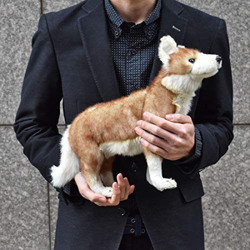 BH5207 HANSA Coyote 35