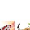 Animal Special Shaped DIY Partial Drill Diamond Dots Paintings for Adults Gift Home Wall Decor Crystal Diamond Art 11.81x11.81in