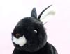 Take Off Rabbit Maron Rex Black