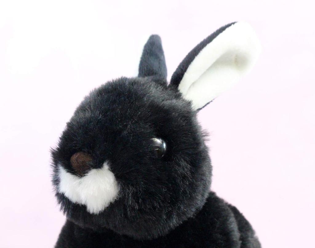 Take Off Rabbit Maron Rex Black