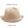 DaiSo Men S Summer Two Tone Fedora