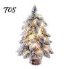 Indoor Small Decorative Pine Trees Mini Flocked Christmas Tree with LED Lights, Tabletop Nordic Holiday Party Home Office Decoration Wood Base, Rustic