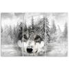 Tre delar bild canvasprint Varg Skog Natur Grå