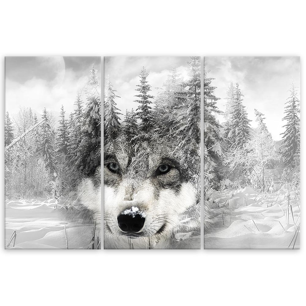 Tre delar bild canvasprint Varg Skog Natur Grå