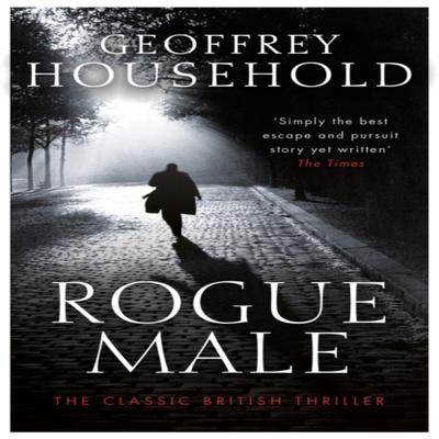 Rogue Male by Geoffrey Household Paperback Book 9781409155836