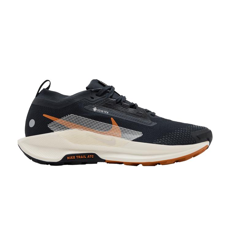 Nike Pegasus Trail 5 Gore-Tex Off Noir Black Monarch Pale Ivory
