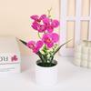 5 Plantas Artificiais de Phalaenopsis em Vasos para Decoração de Casa e Escritório Pequenas Plantas em Vasos Falsos Bonsai Plantas Verdes