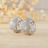 Exquisite Fashion Micro Shop Zircon U-Shaped Earrings Girl Wedding Valentine'S Day Gift Jewelry Pendant Wholesale