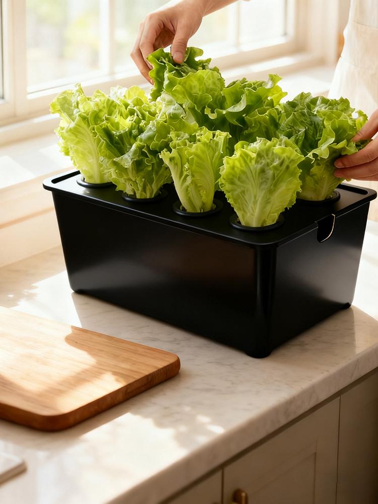 Hydroponic Planting System Beginners-Friendly Equipment Home Hydroponic Seedling System for Lettuce Flowers Balcony Parterre