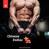 Chinese Zodiac Fitness Wristbands Weightlifting Wrist Strap Booster Belt Pressurized Sports Protection Bench Press Wrist Guard
