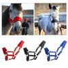 1Pc Soft Padded Pony Halter Bridle Headstall Head Collar Horse Riding Accessories Ergonomic Comfortable Unfettered Halters