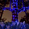 5M Outdoor Solar Light String Led Solar Lights 8 Lighting Modes Copper Wire Lights Courtyard Trees