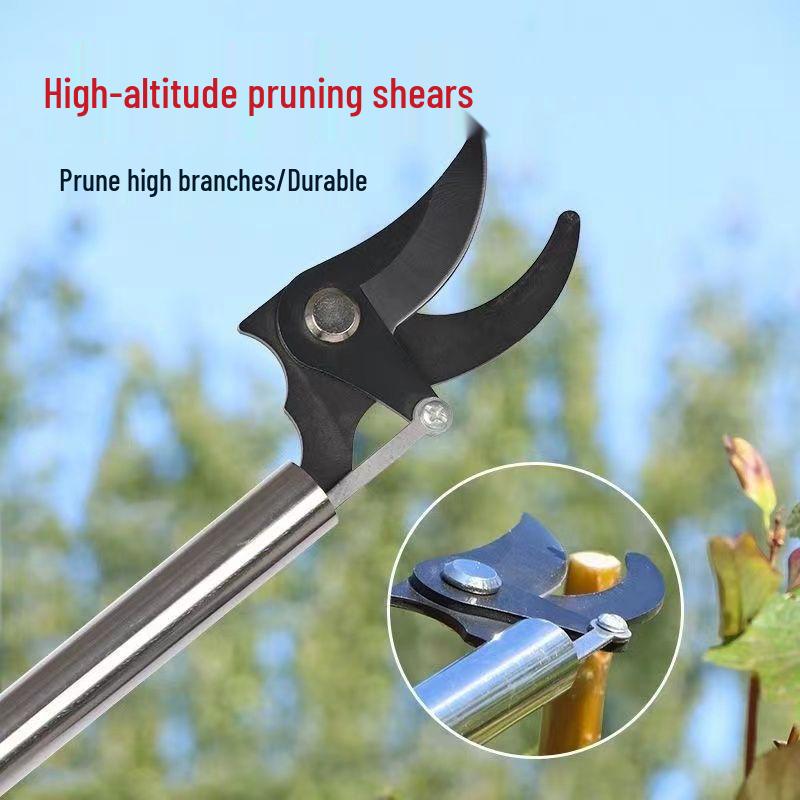 Stainless Steel High Branch Locust Flower Pruners with Extended Pole
