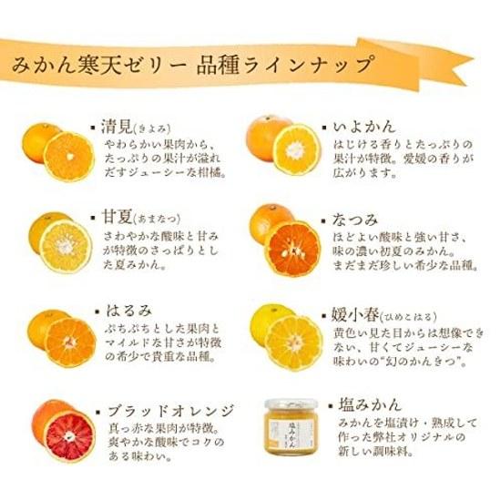 Miyamoto Orange Garden Jelly Mandarin Ehime Produce Agar 100g Pouch Assorted No Coloring Fragrance Domestic Household Use Fruit Jule Chemical (3
