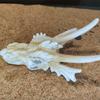 Aquarium Handicraft Hallowed Dinosaur Beach Crafts Decoration FishTank Supplies Sea Art Crafts Decorations Fish Toy