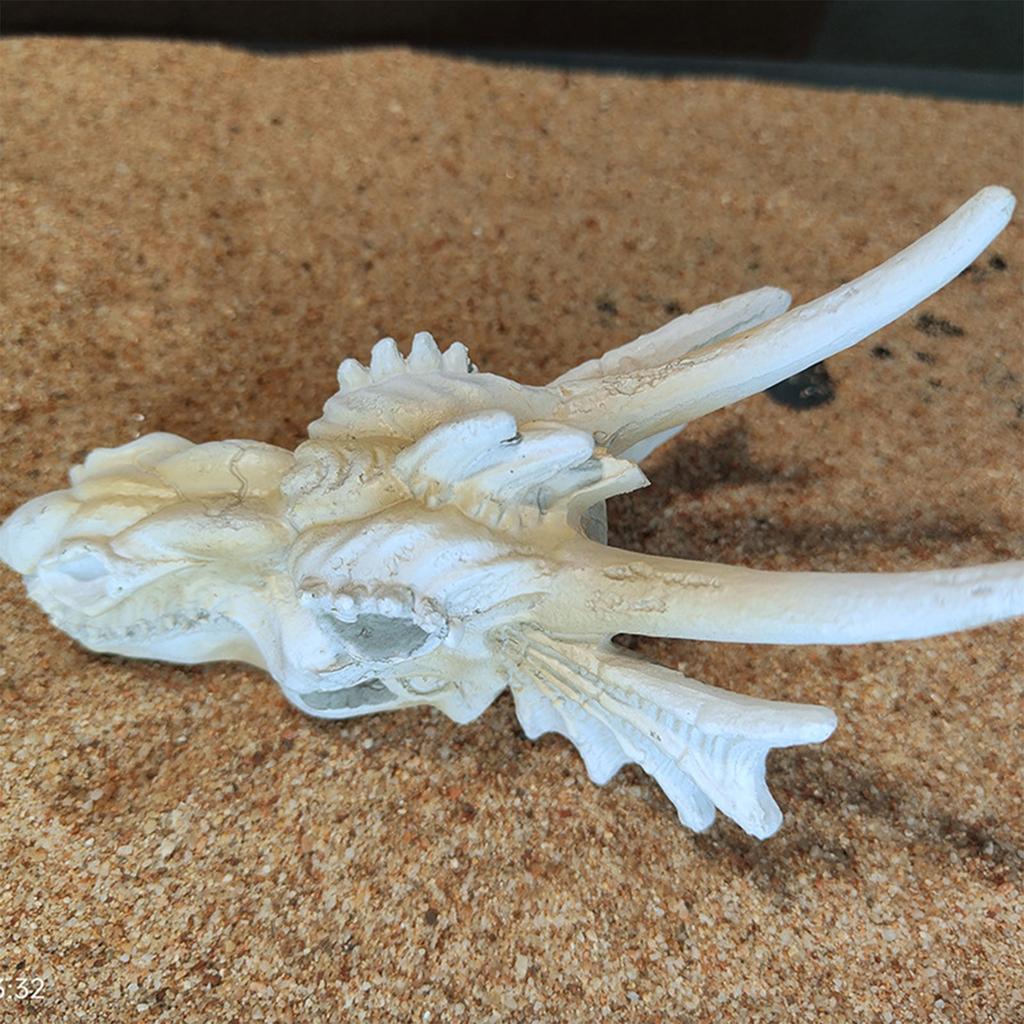 Aquarium Handicraft Hallowed Dinosaur Beach Crafts Decoration FishTank Supplies Sea Art Crafts Decorations Fish Toy