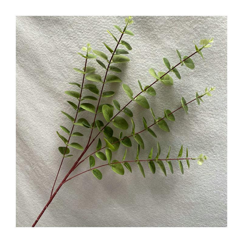 3d Printed Money Leaf Artificial Plant With Vibrant Colors For Living Room Decor