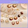 Modern Geometric Resin Stainless Steel Earring For Women With Gold Plating And Elegant Style