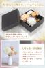 [Supervised by a Professional Hairdresser] Hanalier Hair Accessories - 30 Pieces - Elegant Arrangement to Adorn Your Special Day: Gold Leaf, Mizuhiki